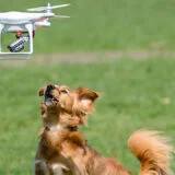 VideoDrone and power